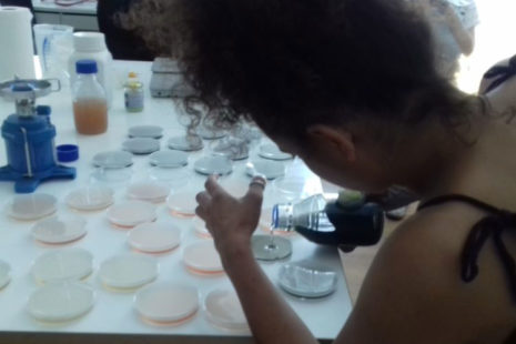 Meet Your Microbes workshop with Günter Seyfried in June 2019, photo: Zahra Mirza.