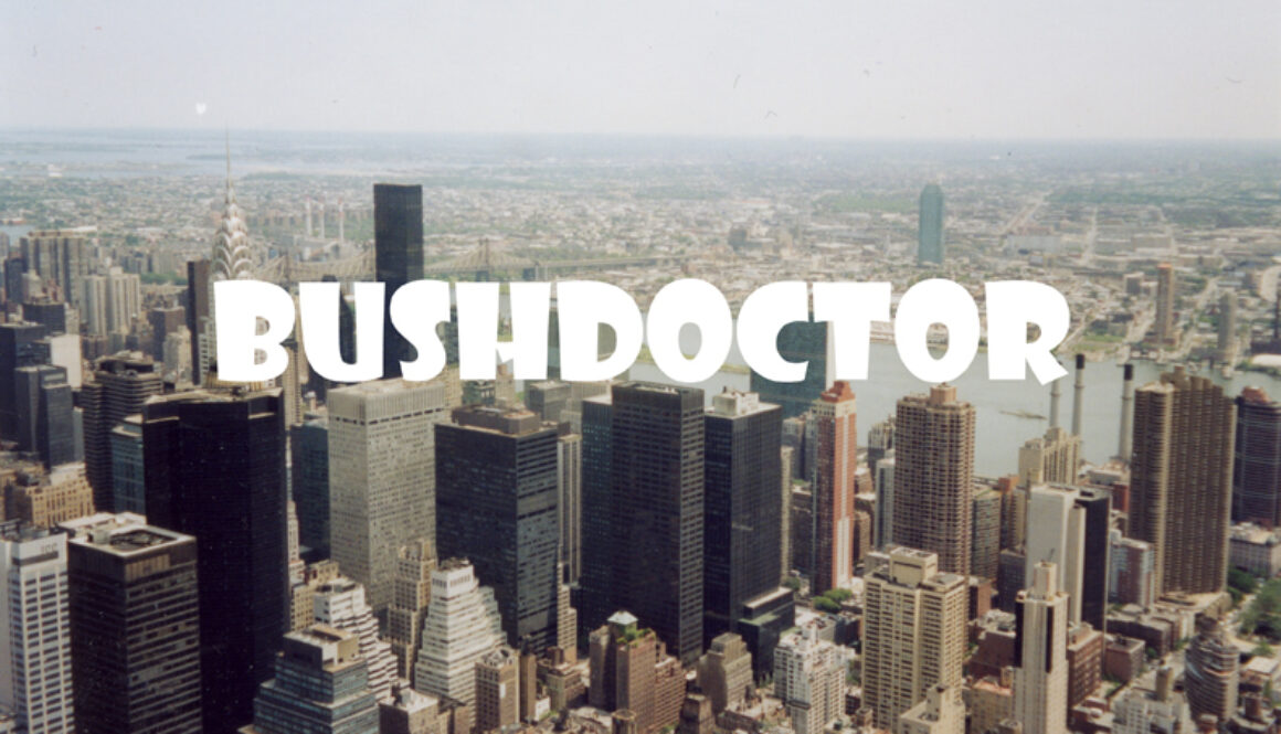 VERGEBÄRDLER UND ANDERE BÄRTE FIKTIVE FILME MICROTHEORIE FREIES KINO mit LAMPALZER/OPPERMANN