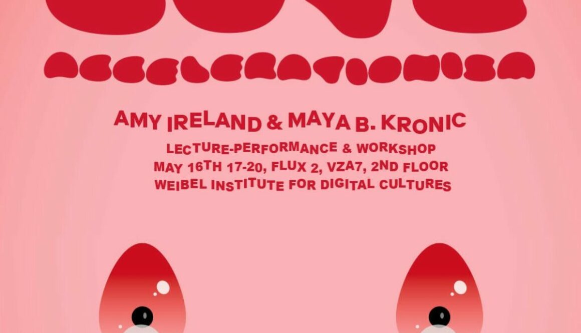 Cute Accelerationism Lecture-performance & workshop