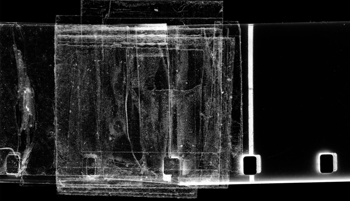 Media Theory and Biomedia