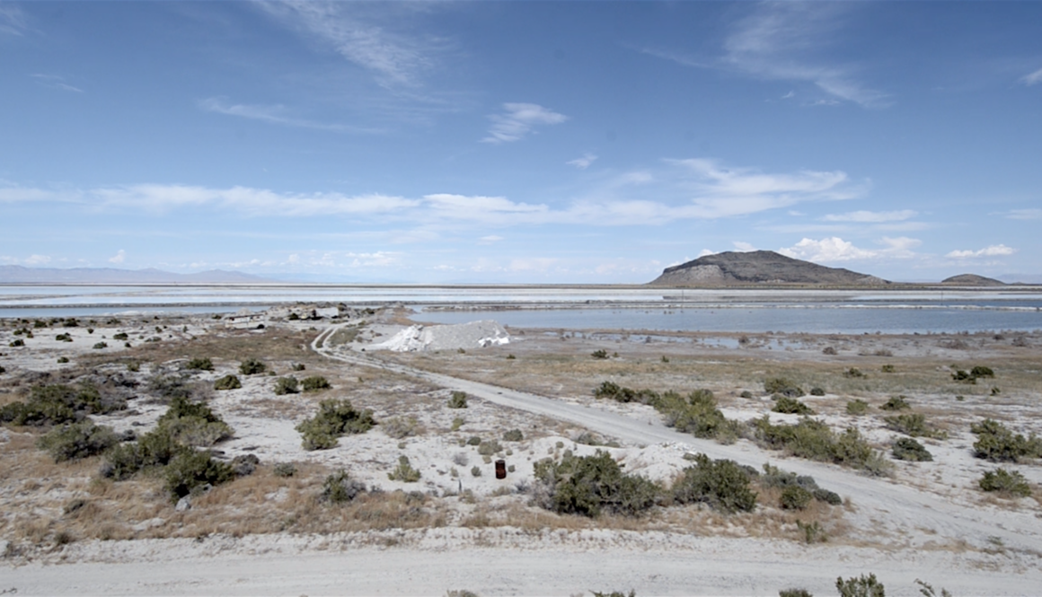 Herwig Turk, Lakeside, 2012, single channel HD video with sound, Copyright Herwig Turk.